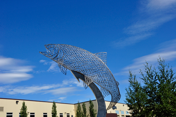flying fish